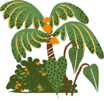 Coconut tree