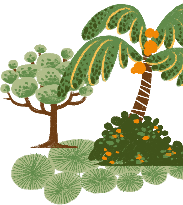 Trees cluster